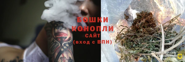 тгк Касимов