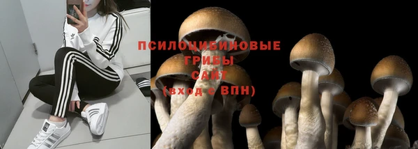 спиды Киренск