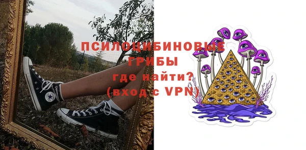 mdpv Киреевск