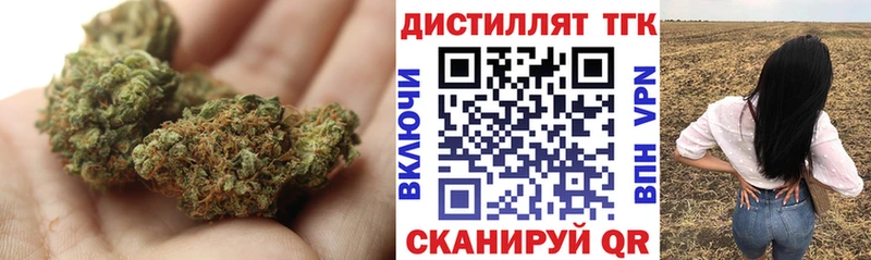 Купить закладки  Вичуга  Дистиллят ТГК концентрат 